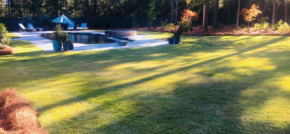 Fertilized lawn with pool Matthews Turf Management Augusta GA