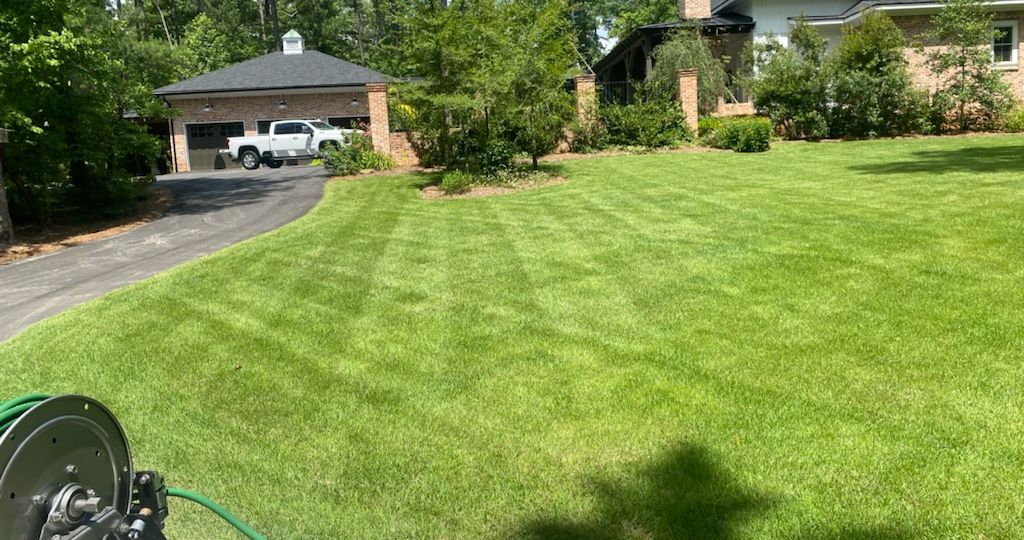 lawn fertilization professionals Matthews Turf Management Augusta GA