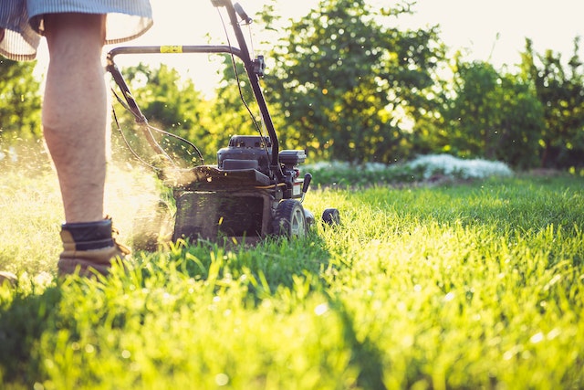 How to Mow Your Lawn Effectively