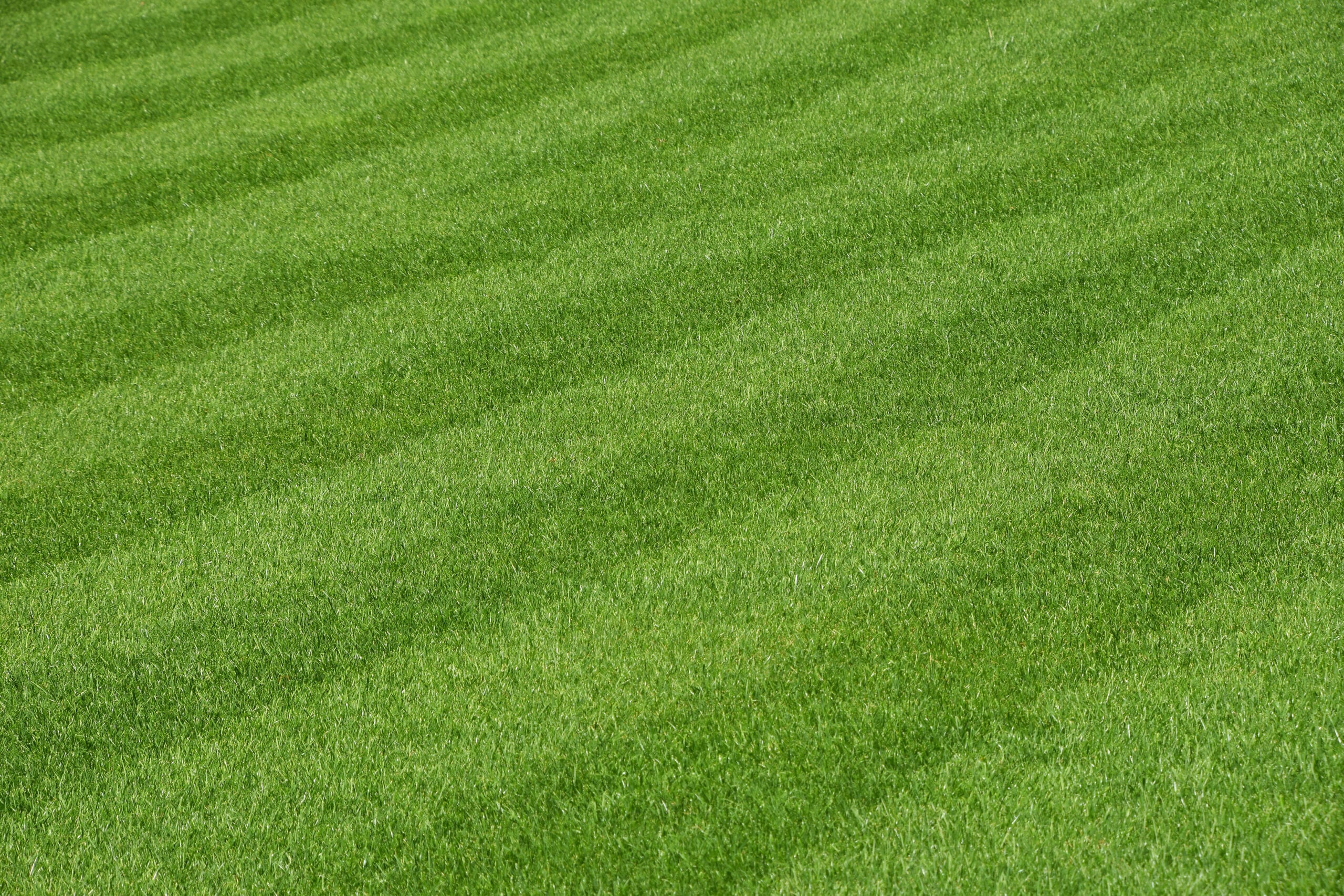 Well-maintained green lawn with professional mowing stripes