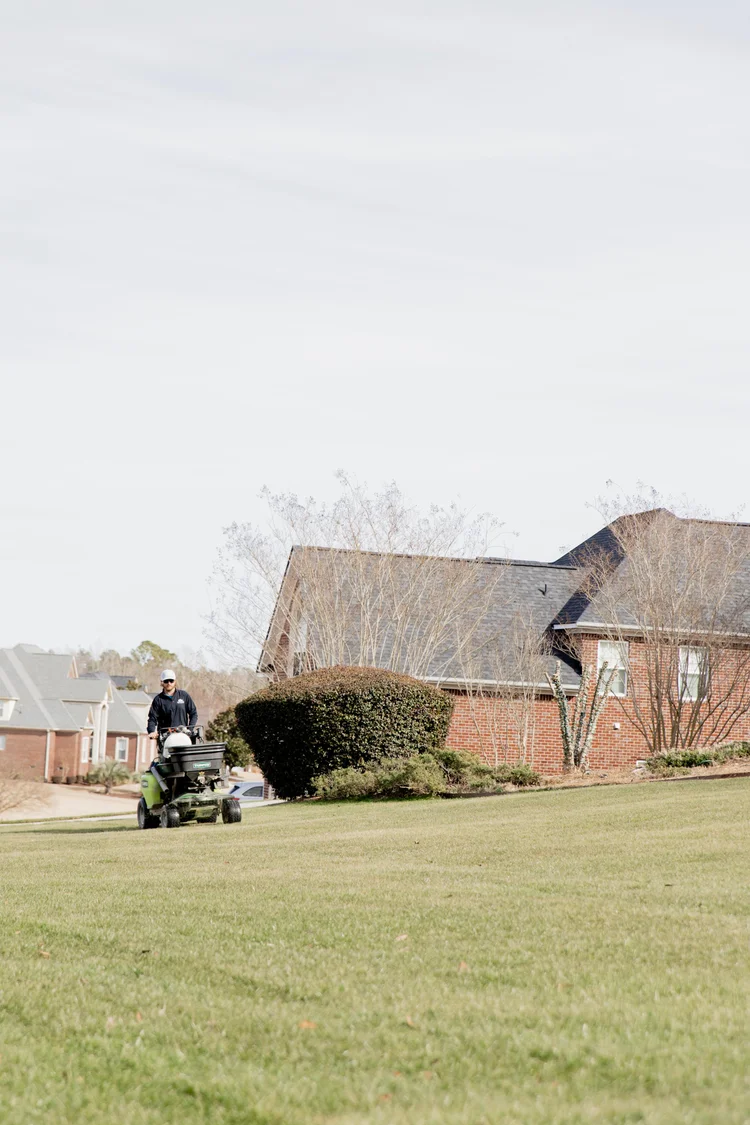 Matthews Turf Management professional applying lawn treatment with a walk-behind spreader